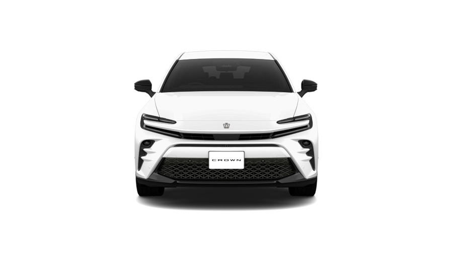 プレシャスホワイトパール〈090〉フロント